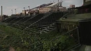 The ivies started blanketing the stands.