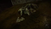 Mud seep into the the tombs and envelop the bodies.