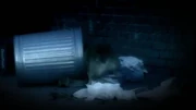 The  have escaped the .