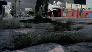 Hollywood10Years.png (2.33 MB) Plants start to colonize streets of Hollywood in 10 years after people.