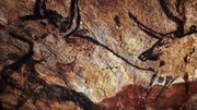One of the paintings in Lascaux.