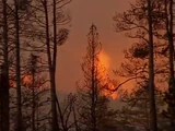 Wildfires