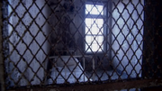 The cells of the hospital.