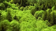 Atlantic City would be forest, even after the Ice Age.