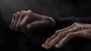 The hands decay.