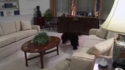 Bo has crossed the West Wing and into the Oval Office.