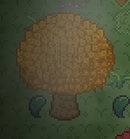 Firefly Tree