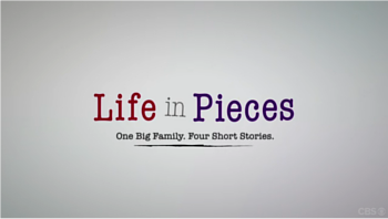 Life in Pieces