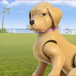 Taffy Barbie Life in the Dreamhouse Wiki Fandom