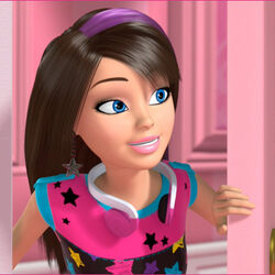 Skipper life in the dreamhouse store