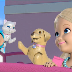 Barbie life in the dreamhouse dog top