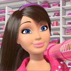 Skipper Barbie Life in the Dreamhouse Wiki Fandom