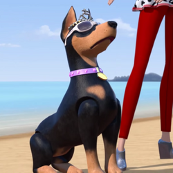 Barbie life in the dreamhouse pets shop