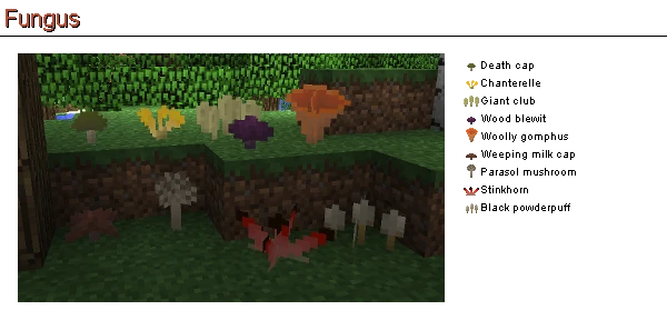 Mushroom (Plant Mega Pack) | Life In The Woods (Minecraft Modpack)  Unofficial Wiki | Fandom