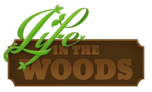 life in the woods mod