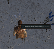 Connaissance De La Nature I03