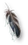 Digested feather