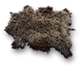 Thick dried hide.png
