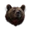 Big bear head