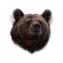 Big bear head.png