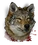 Wolf head