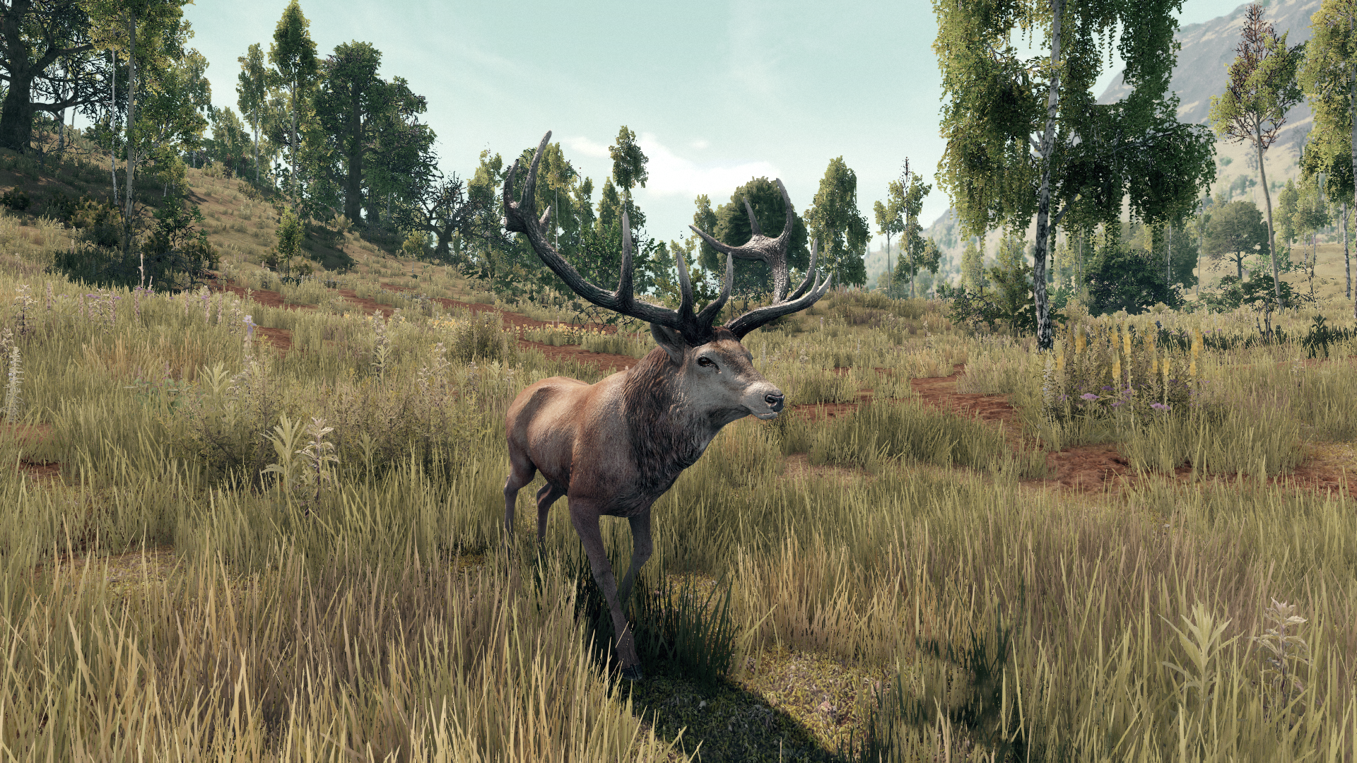 moose life is feudal wiki moose life is feudal wiki