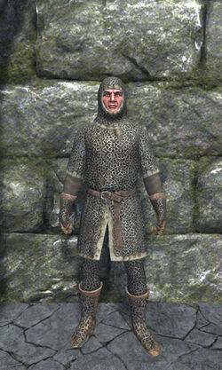 Light chainmail armor front.jpg