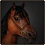 Warhorse stable.png