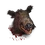 Boar head