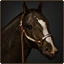 Stallion stable.png