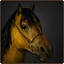 Hardy Warhorse.png
