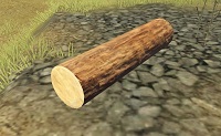 Softwood log.jpg