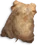 Pigskin