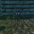 Floor lamp (idle)