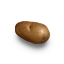Potato