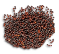 Cabbage Seeds.png
