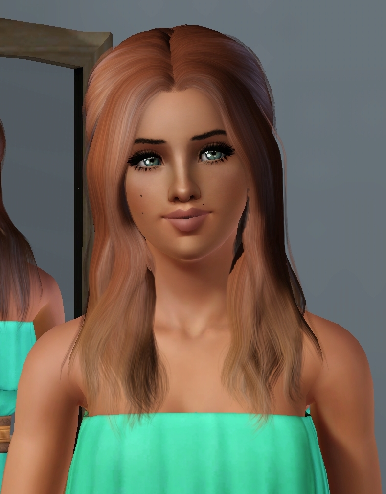 lifesimmer sims 3 cc folder