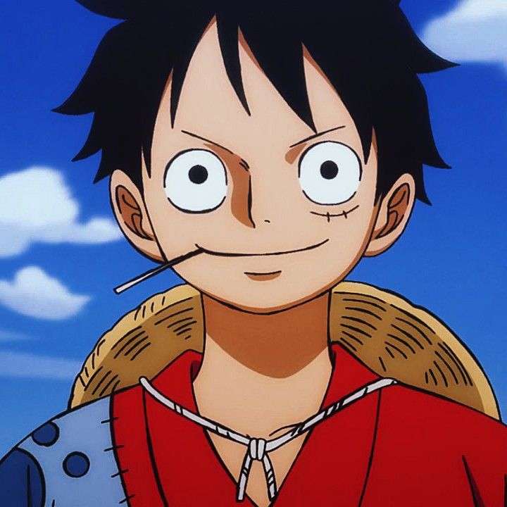 2º Luffy da coleção especial 😂 Procuro candidato ao Luffy Careca ou L