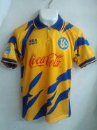 Jersey de Tigres