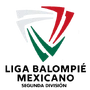 LBM2Dlogo