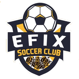 EFIXlogo