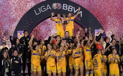 TIGFemCampeónAP22