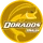 DOR15logo