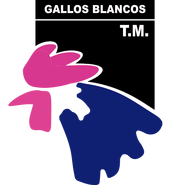 Escudo del Tampico Madero Gallos Blancos en 1995