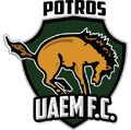 Logo actual, usado para jugar en Ascenso MX