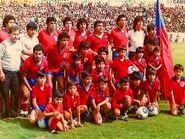 Equipo de 1985