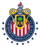 Escudo actual