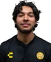 LuisCarlosVillegas