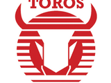 Toros Neza/Multiplataforma