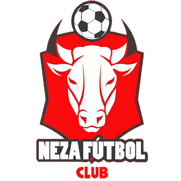 Club Deportivo Nacional, Fútbol Mexicano Wiki